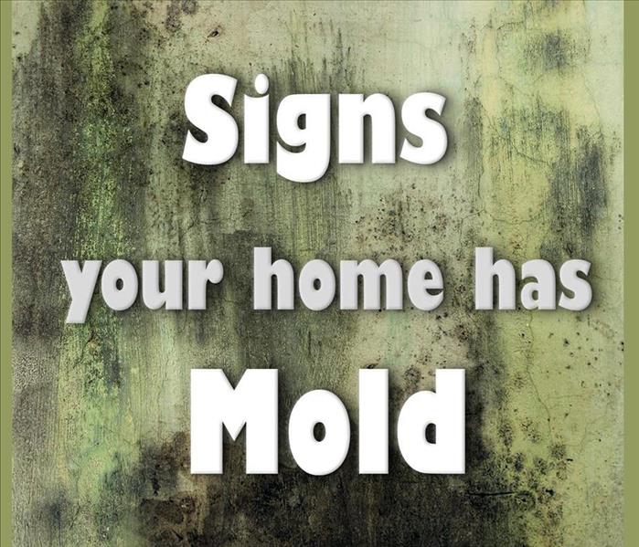 Photo that says "Signs your home has Mold"