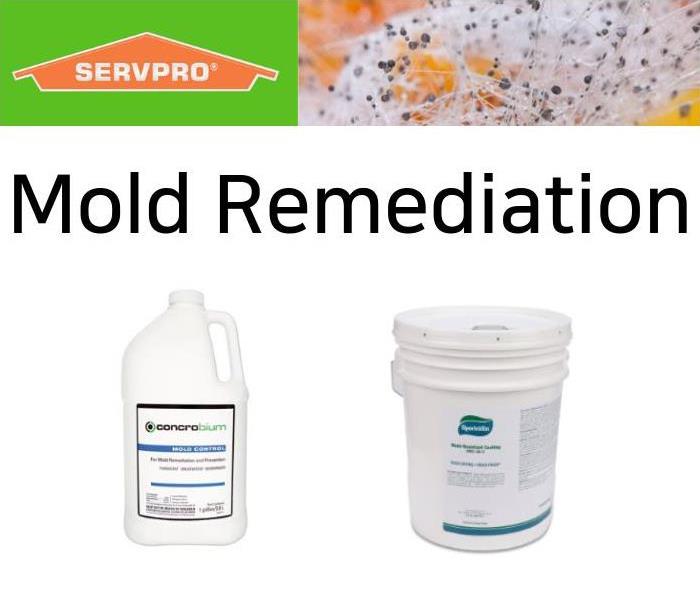 mold products, sporicidin and concrobium along with the SERVPRO-branded logo