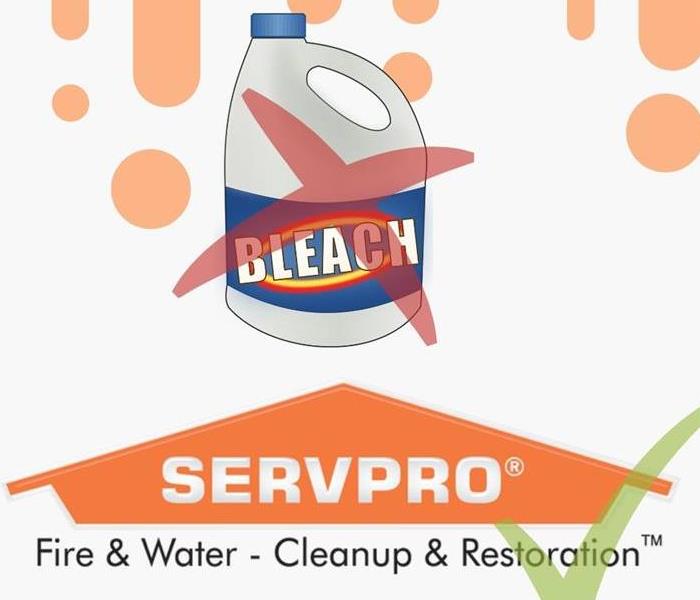 It's always best to contact SERVPRO when dealing with mold