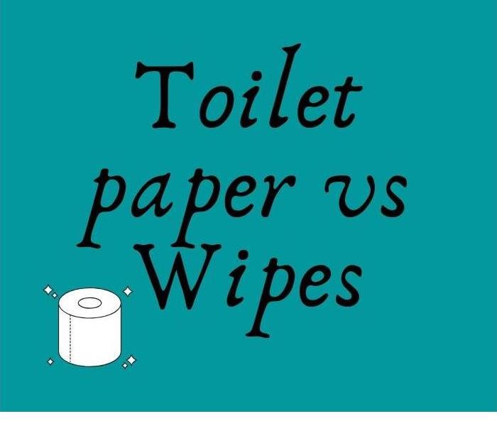 toilet paper vs wipes